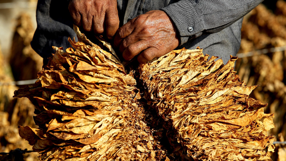 Uprkos akcijama poreznika, siva ekonomija ne posustaje 1
