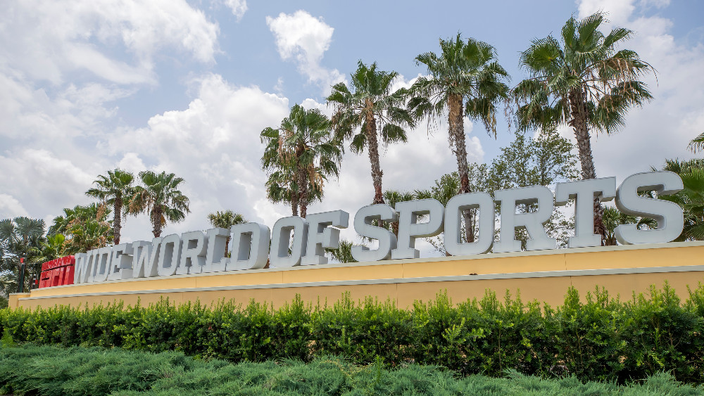 Filter na ulasku u Diznilend 1