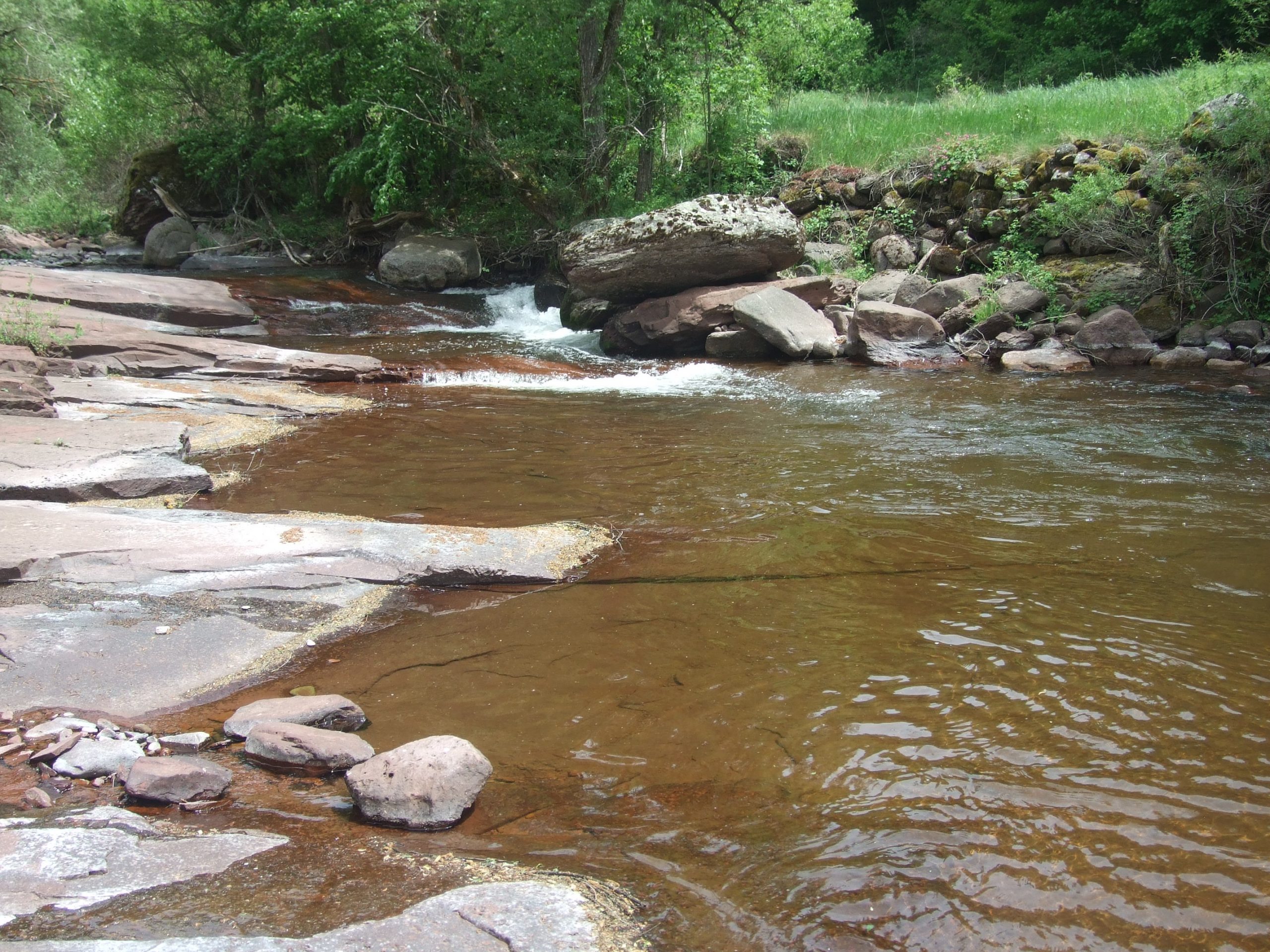 Topli do (3): Lepota je spasila svet 1