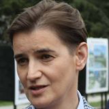 Brnabić: Desanka se neće izbacivati iz programa 6