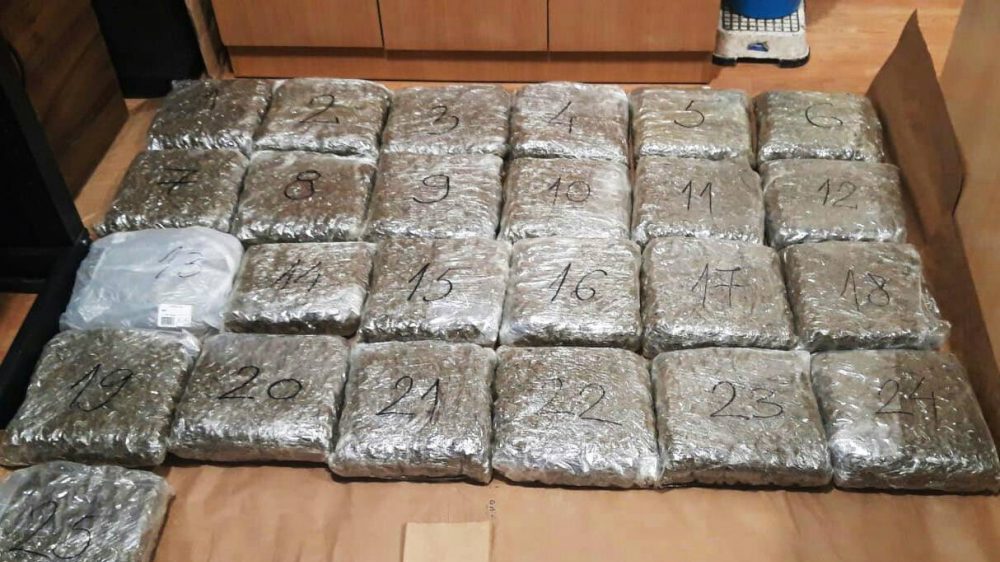 Istraživanje: Sveprisutna transnacionalna hobotnica organizovanog kriminala sa Balkana 1