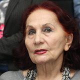 Vida Ognjenović: Cilj nam je smirivanje situacije u DS 2