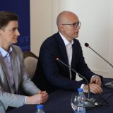 Brnabić: Bez kulture nema ekonomski jake zemlje 6