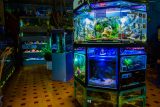 U Javnom akvarijumu: Mesto gde su životinje uvek na prvom mestu (FOTO) 20