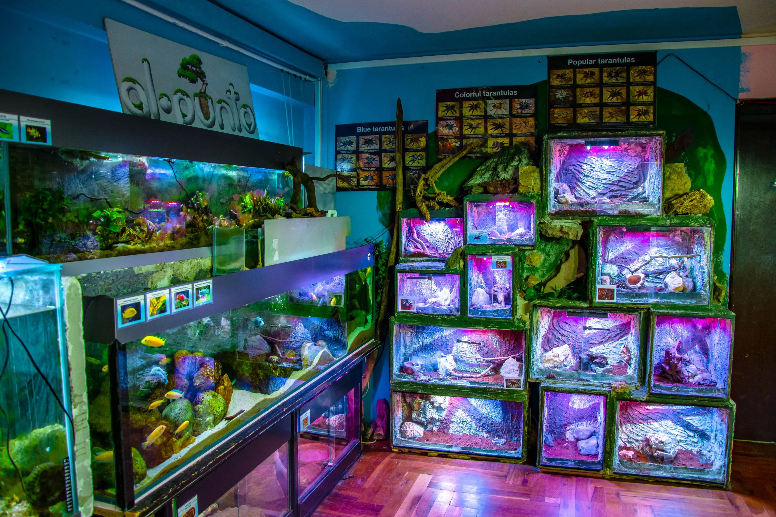 Javni akvarijum i tropikarijum Beograd na ivici opstanka: Ugroženo više od 3.000 riba i životinja 10