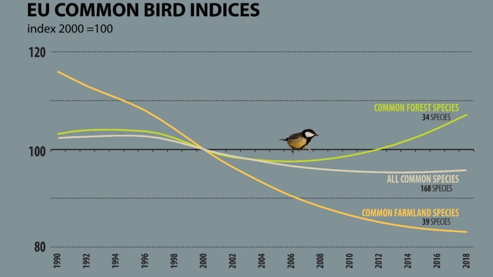 Populacija ptica u EU već nekoliko decenija u opadanju 2