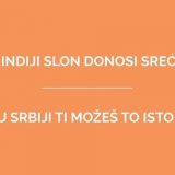 Kampanja "Srce kao slon" za pomoć bolesnoj deci 5