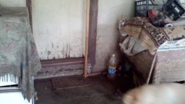 Bujične poplave nanele velike štete u naseljima Majdanpeka (FOTO) 6