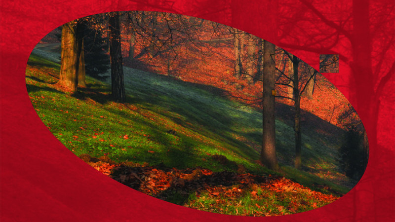 Tri u jedan 1 Tri u jedan 1