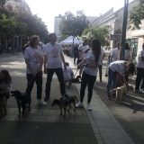 Veća briga o napuštenim psima u Šapcu 5