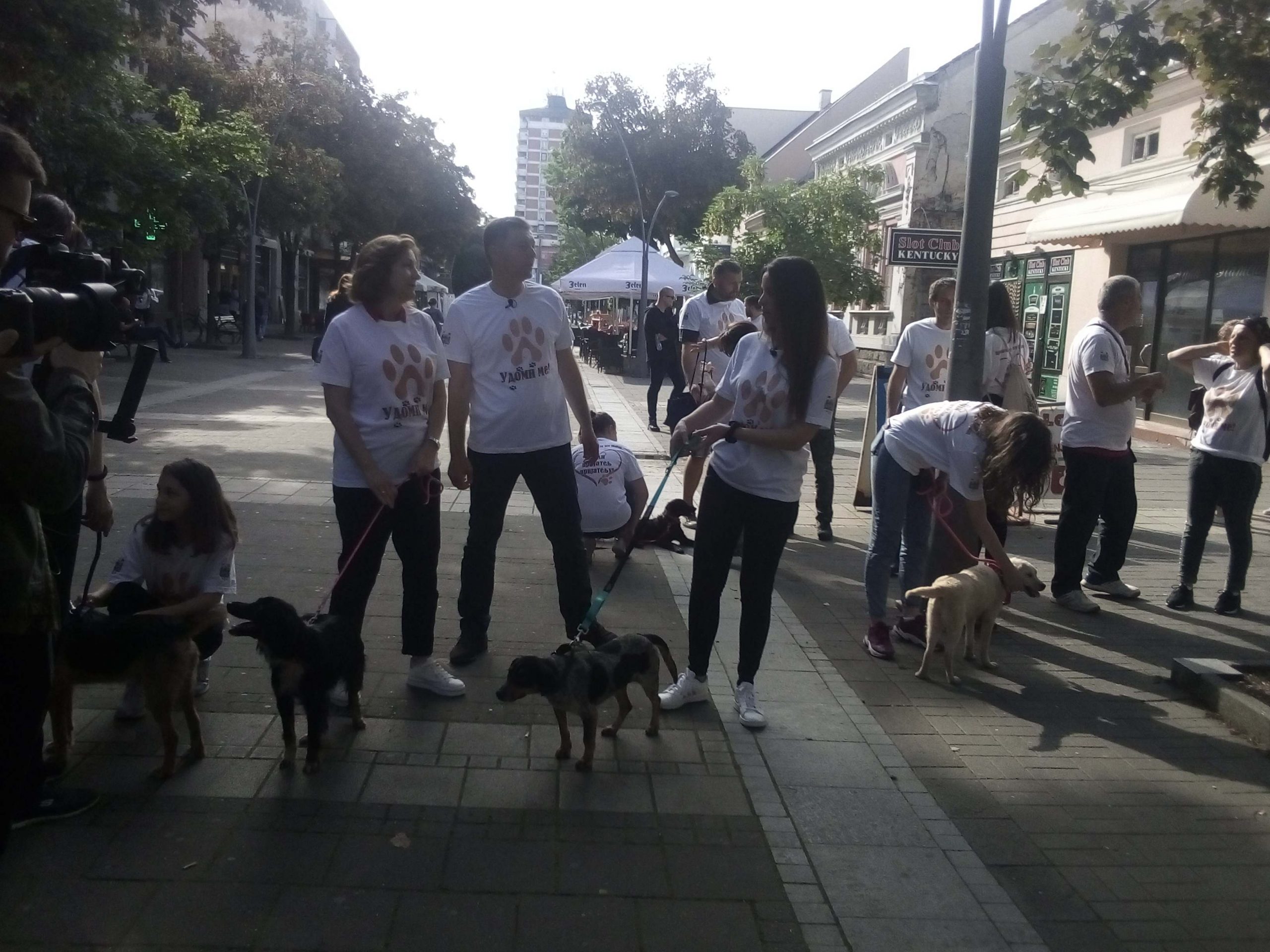 Veća briga o napuštenim psima u Šapcu 1