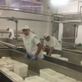 Četiri škole iz Pirotskog okruga u programu EU ''Erazmus plus'' 6