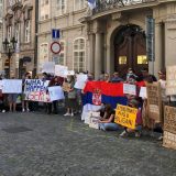 I dijaspora protiv Vučićeve diktature 10