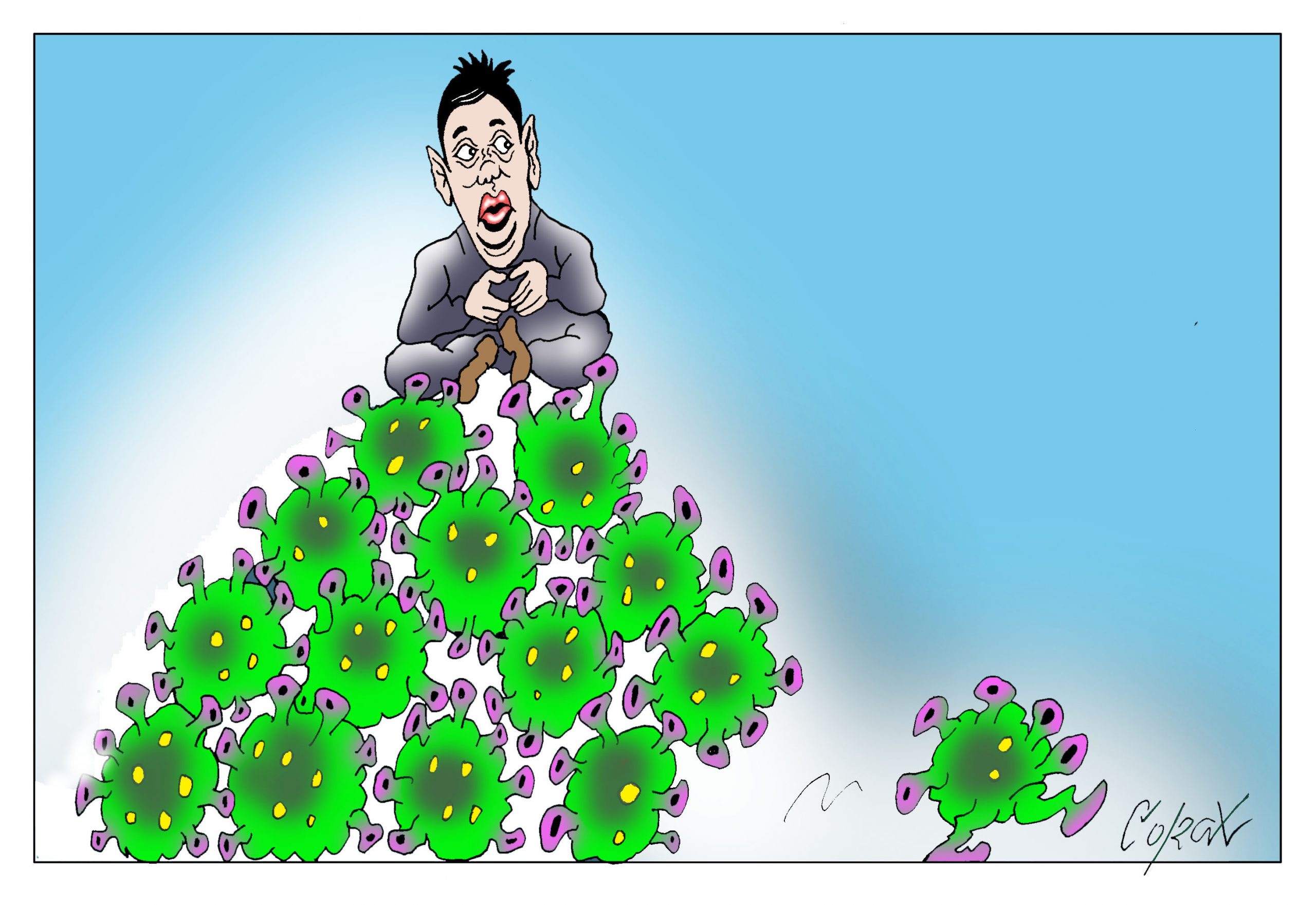 Corax 6