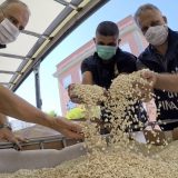 Kontraterorizam: U Italiji zaplenjena droga vredna milijardu evra „za finansiranje boraca Islamske države" 3