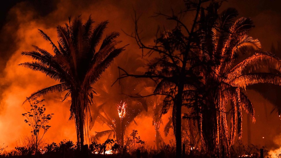 Požari u Amazonu obeležili su 2019. godinu