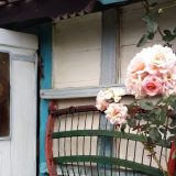 Srbija: Umetnost življenja u etno selu 1