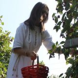 Arilje (1): Ajdemo u maline... 13