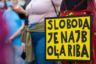 Ljudi ne shvataju moć pojedinca, videlo se na demonstracijama (FOTO) 43