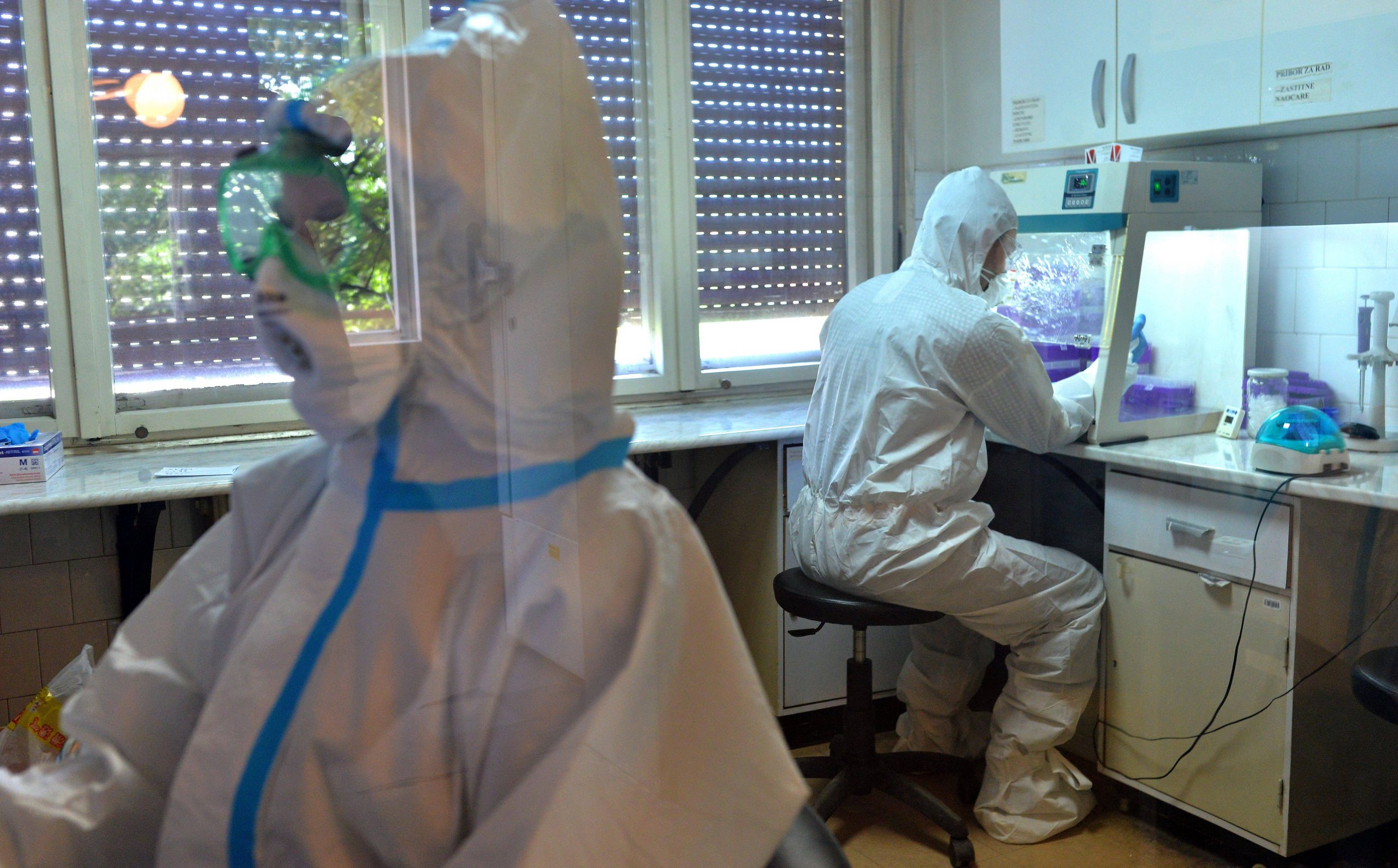 U KBC Zvezdara hospitalizovano 387 pacijenata sa korona virusom 1