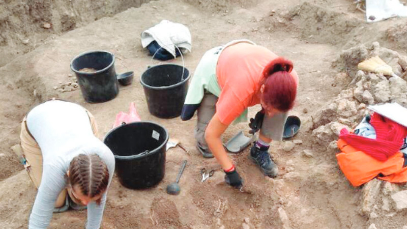 Da li za doručak želiš pšeničnu kašu ili divlje kruške sa medom? 1