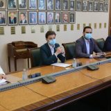 Brnabićeva sa ambasadorima EU o korona virusu i situaciji u zemlji 14