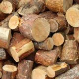 Za ilegalnu prodaju drveta kazne do tri miliona dinara 3