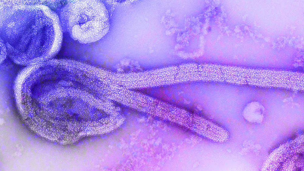Proglašen kraj epidemije ebole u provincijama DR Konga 1