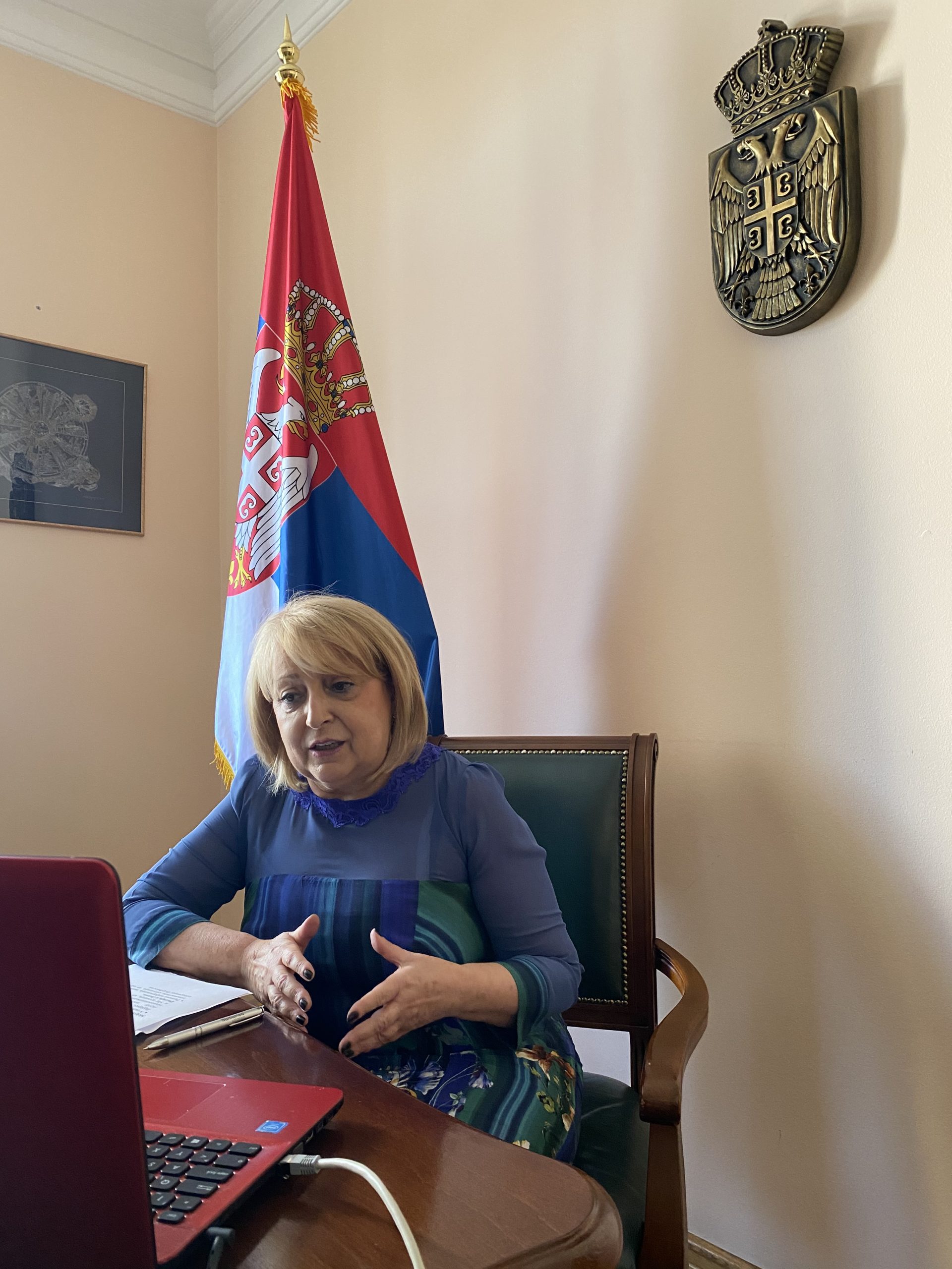 Đukić Dejanović: Intervencije namenjene marginalizovanim grupama moraju biti ojačane 1