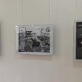 Otvorena izložba slika autora Zdravka Vučinića u Požarevcu 12