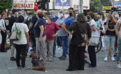 Protesti u više gradova Srbije (VIDEO) 3
