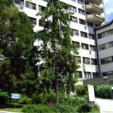 „Nesporazum“ usmrtio pacijente  2