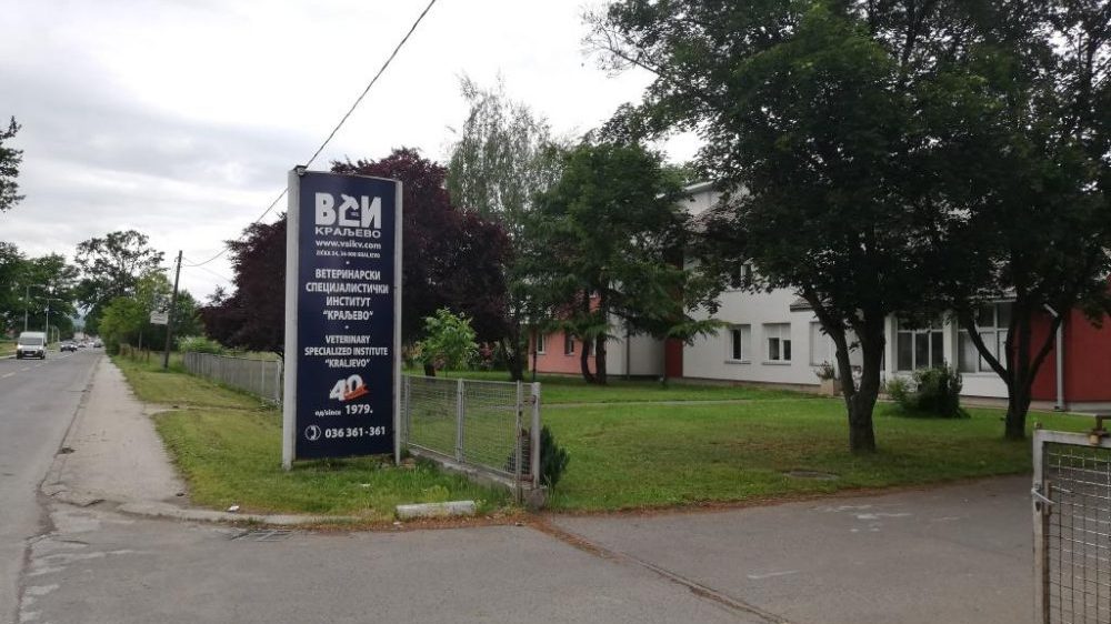 Blago smanjenje broja pozitivnih u odnosu na broj testiranih građana u Kraljevu 1