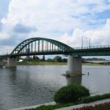 Svetomir Arsić-Basara će vajati spomenik despotu Stefanu Lazareviću 4