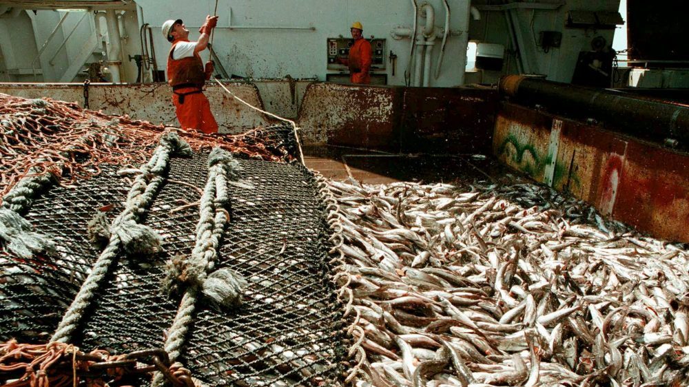 NBC: Smrtonosna tajna nevidljive kineske armade 3 NBC: Smrtonosna tajna nevidljive kineske armade 3