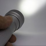 Obustavljena potraga za ženom iz borskog sela, sama se vratila kući 10