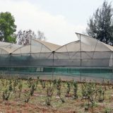 Raspisan konkurs za dodelu plastenika 5