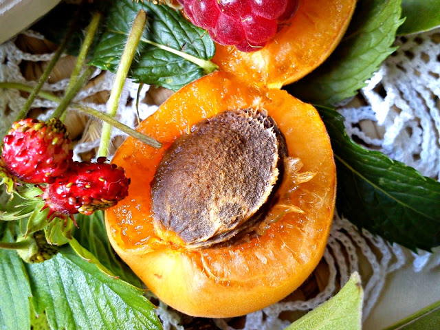 Recept za džem od kajsija 3