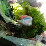 Granični prelaz Gradina: Кokain sakriven u zelenoj salati 15