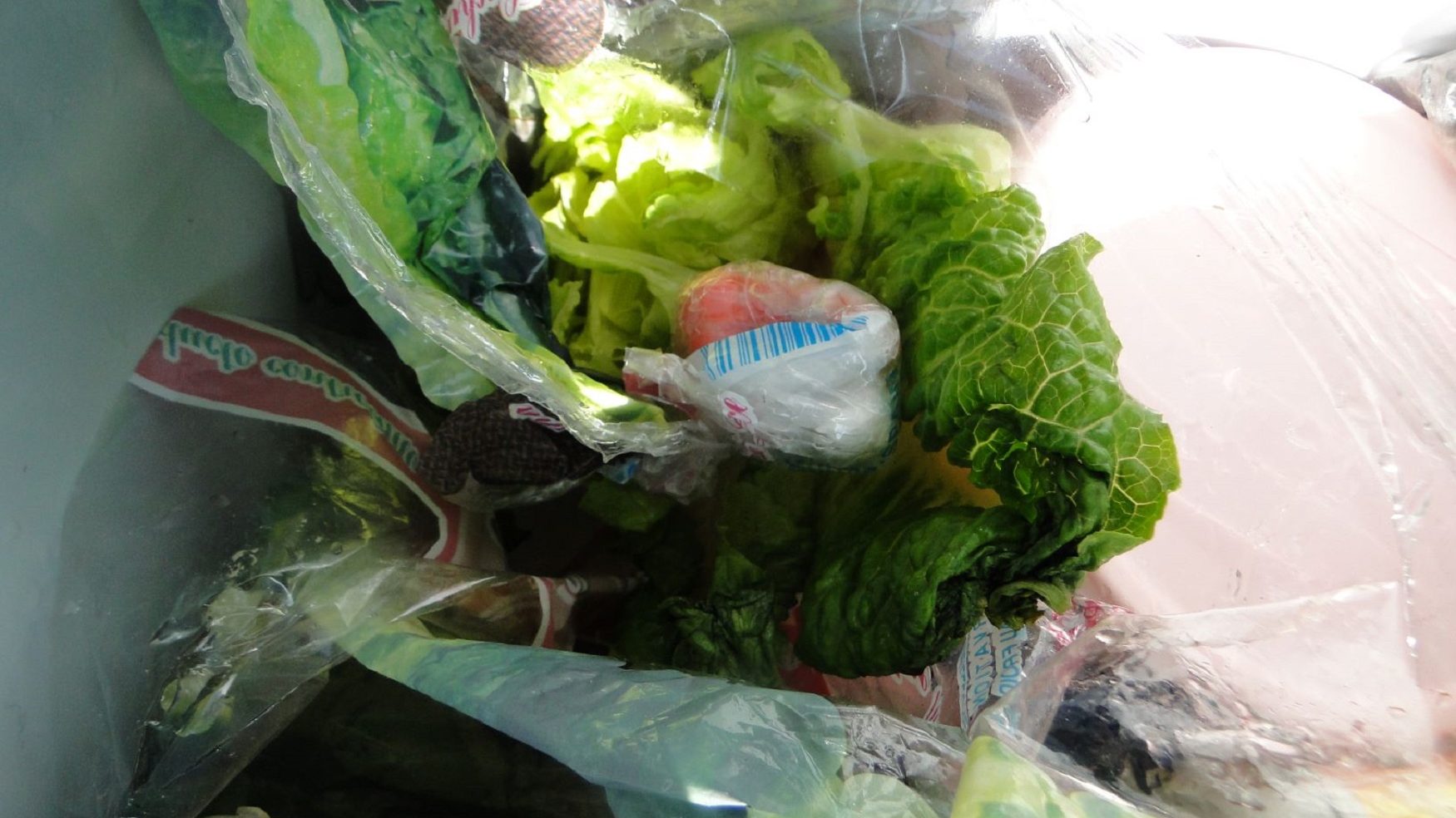 Granični prelaz Gradina: Кokain sakriven u zelenoj salati 1