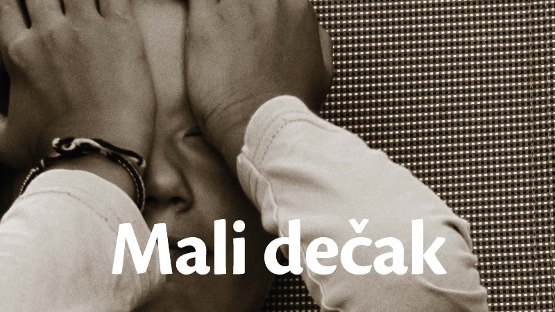 "Mali dečak" Lorensa Ferlingetija 1