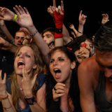 Ima li stečaj privrednog društva "State of Exit" veze sa istoimenim festivalom? 6