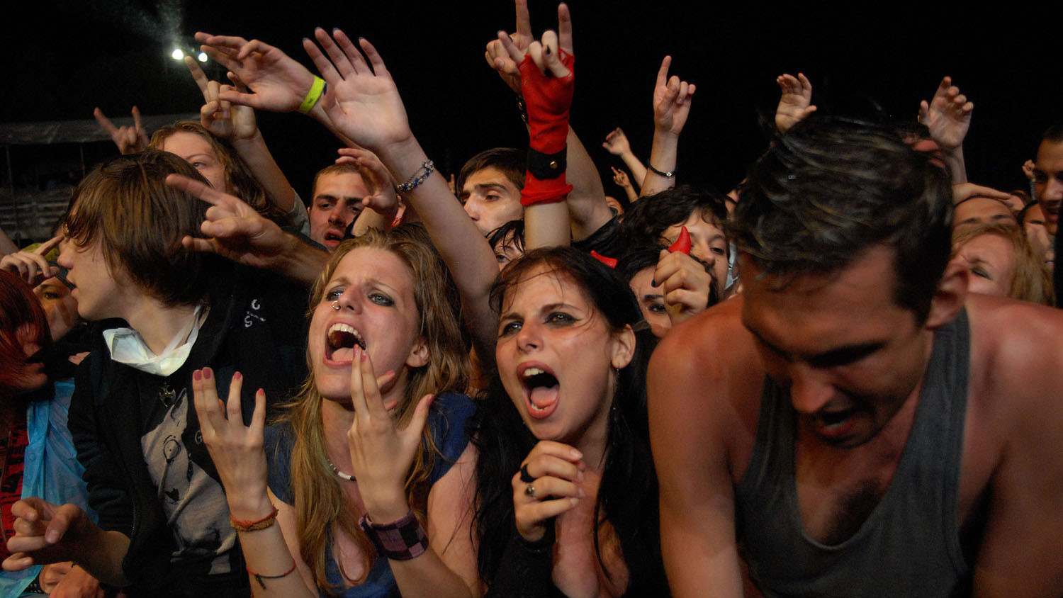 Ima li stečaj privrednog društva "State of Exit" veze sa istoimenim festivalom? 1