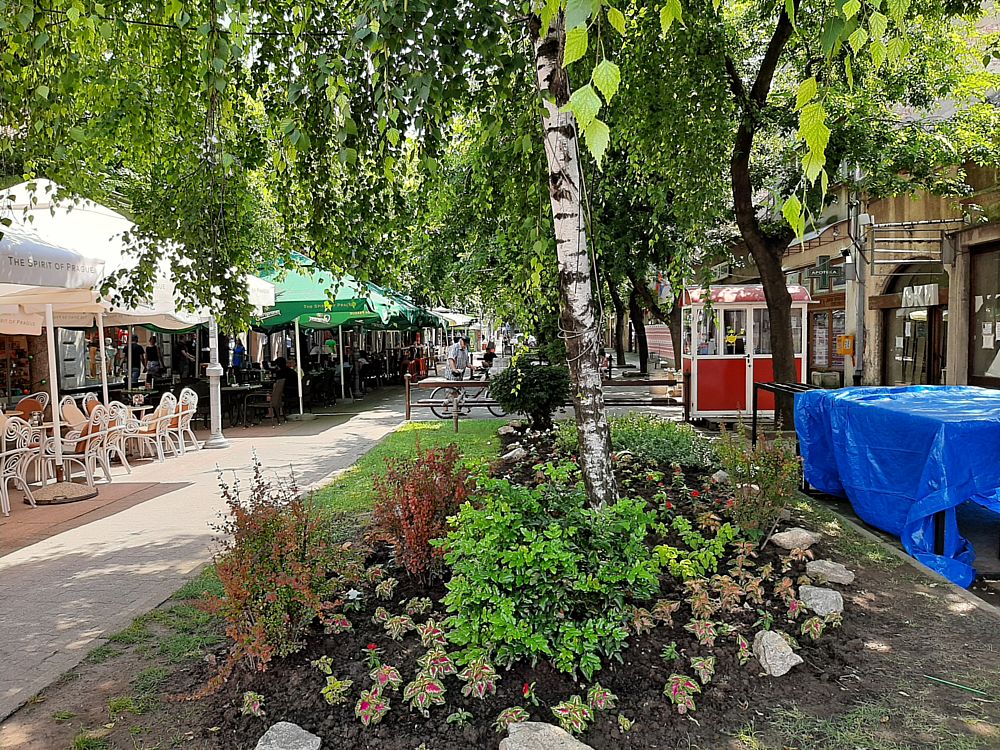 Prazne ulice Požarevca: U strahu od korone su velike oči 2 Prazne ulice Požarevca: U strahu od korone su velike oči 2