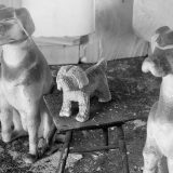 Mikstejp za post-karantin: Plejlistu pravi grupa sv. Pseta 1