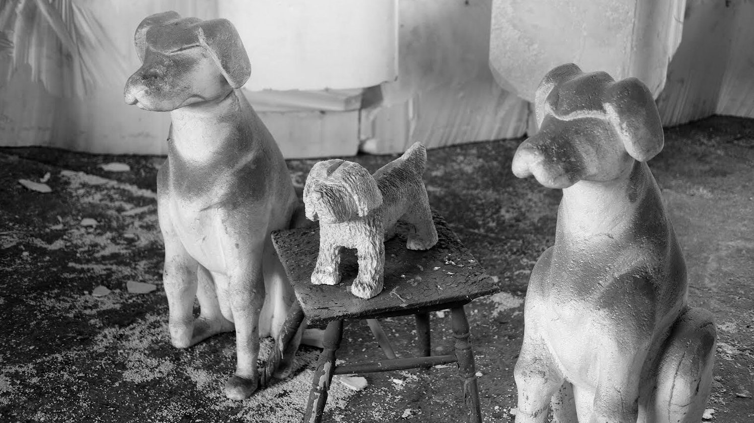 Mikstejp za post-karantin: Plejlistu pravi grupa sv. Pseta 1