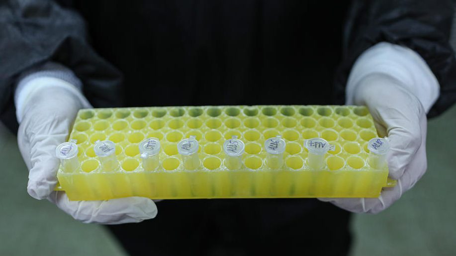 Samo jedan putnik verovatno izvor zaraze svih na brodu "Dajmond prinses" 1