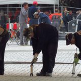 Zaboravili da stave šine za tramvaj, sledi nova rekonstrukcija Trga republike 2