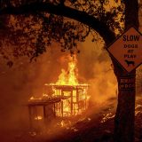 Požari besne u Kaliforniji zahvaćenoj istorijskom vrućinom 5