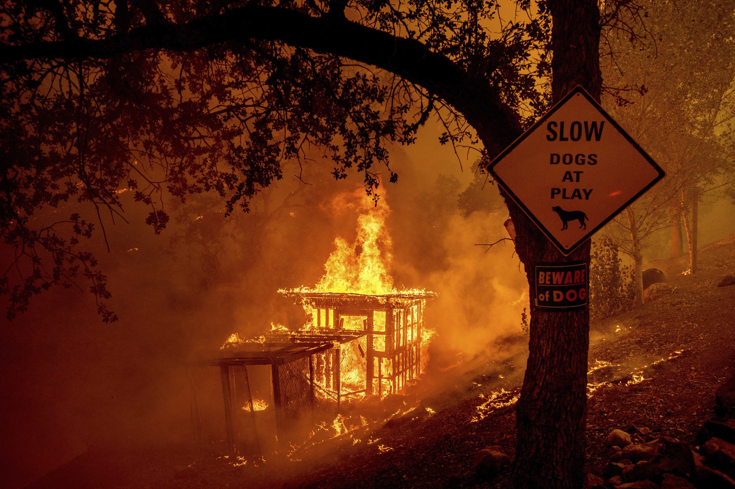 Požari besne u Kaliforniji zahvaćenoj istorijskom vrućinom 1